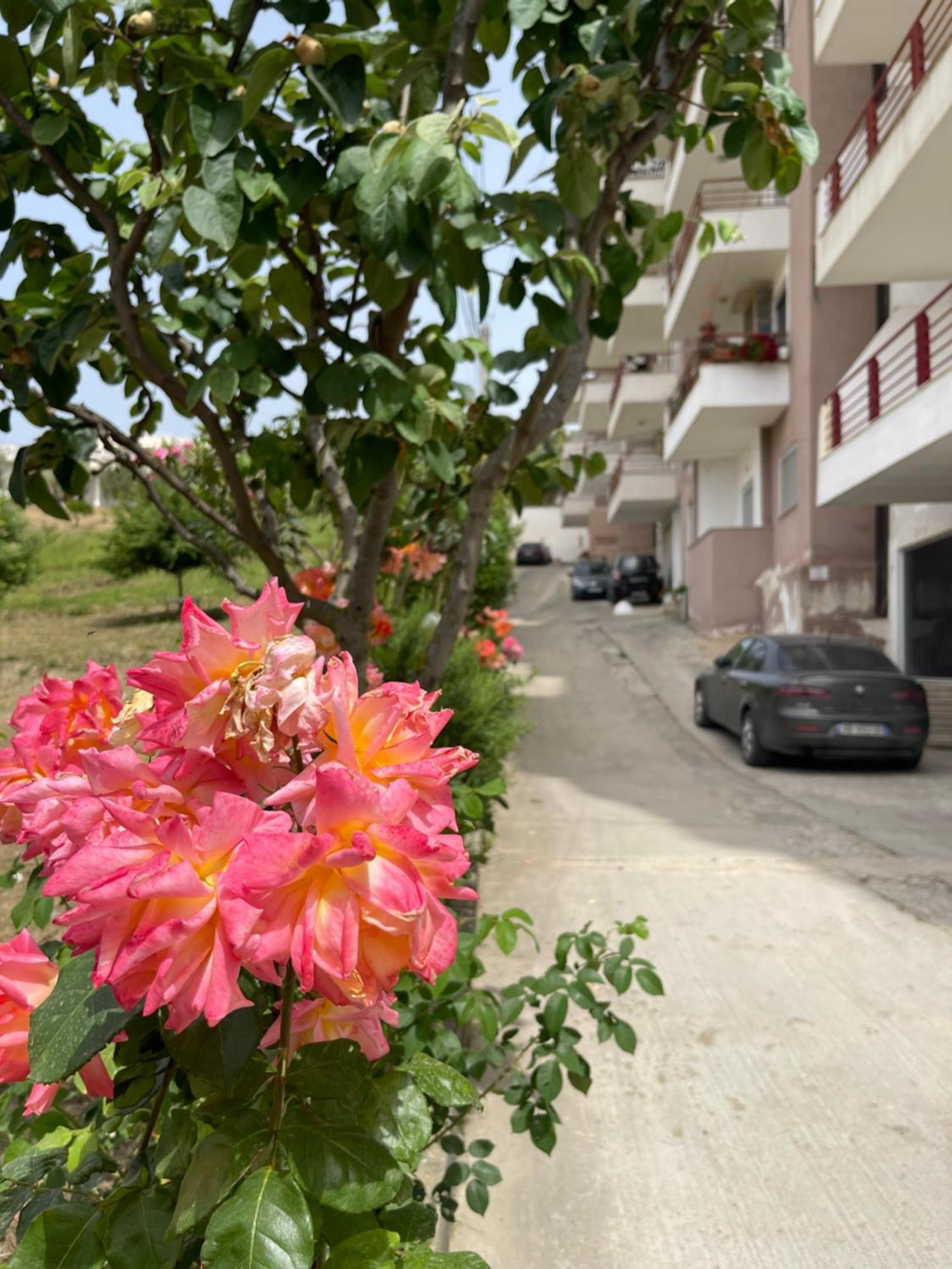 Beach Apartments Драч Екстериор снимка